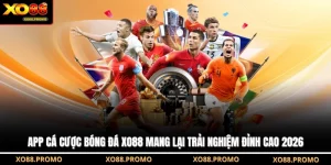 App Cá Cược Bóng Đá XO88 Mang Lại Trải Nghiệm Đỉnh Cao 2026