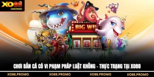 Chơi Bắn Cá Có Vi Phạm Pháp Luật Không - Thực Trạng Tại XO88